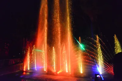 DSC_7072 (Large).JPG